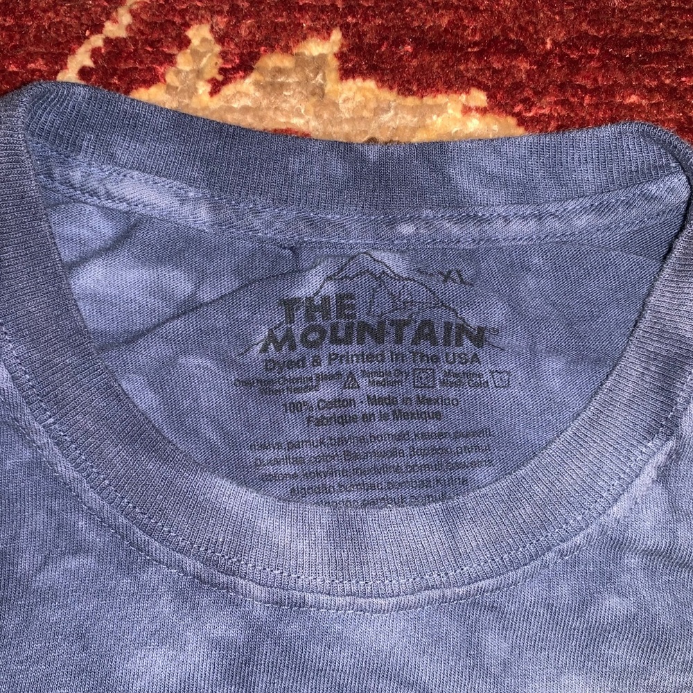 THE MOUNTAIN | Abe graphic tee - Picture 3 of 4